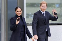 Meghan Markle Prince Harry Dogs