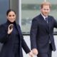Meghan Markle Prince Harry Dogs